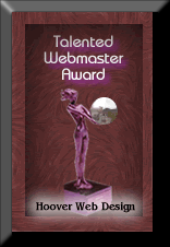 2004 Hoover Design Award